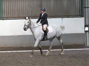 Image 126 in DRESSAGE AT NEWTON HALL EQUITATION. 1 SEPT. 2019