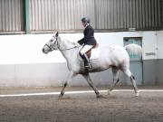 Image 128 in DRESSAGE AT NEWTON HALL EQUITATION. 1 SEPT. 2019