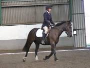 Image 13 in DRESSAGE AT NEWTON HALL EQUITATION. 1 SEPT. 2019