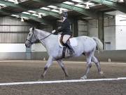 Image 132 in DRESSAGE AT NEWTON HALL EQUITATION. 1 SEPT. 2019