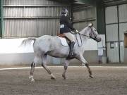 Image 134 in DRESSAGE AT NEWTON HALL EQUITATION. 1 SEPT. 2019