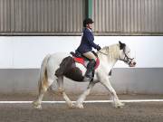 Image 137 in DRESSAGE AT NEWTON HALL EQUITATION. 1 SEPT. 2019