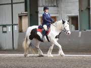 Image 139 in DRESSAGE AT NEWTON HALL EQUITATION. 1 SEPT. 2019