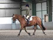 Image 14 in DRESSAGE AT NEWTON HALL EQUITATION. 1 SEPT. 2019