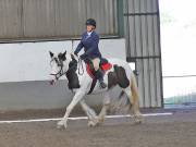 Image 141 in DRESSAGE AT NEWTON HALL EQUITATION. 1 SEPT. 2019