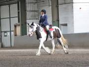 Image 142 in DRESSAGE AT NEWTON HALL EQUITATION. 1 SEPT. 2019