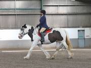 Image 143 in DRESSAGE AT NEWTON HALL EQUITATION. 1 SEPT. 2019