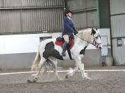 Image 148 in DRESSAGE AT NEWTON HALL EQUITATION. 1 SEPT. 2019