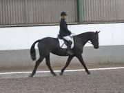 Image 15 in DRESSAGE AT NEWTON HALL EQUITATION. 1 SEPT. 2019