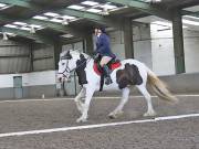 Image 151 in DRESSAGE AT NEWTON HALL EQUITATION. 1 SEPT. 2019