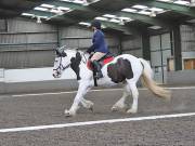 Image 152 in DRESSAGE AT NEWTON HALL EQUITATION. 1 SEPT. 2019