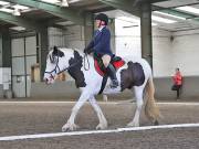 Image 154 in DRESSAGE AT NEWTON HALL EQUITATION. 1 SEPT. 2019