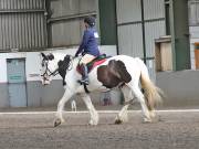 Image 155 in DRESSAGE AT NEWTON HALL EQUITATION. 1 SEPT. 2019