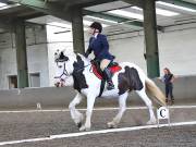 Image 162 in DRESSAGE AT NEWTON HALL EQUITATION. 1 SEPT. 2019