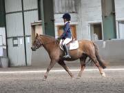 Image 17 in DRESSAGE AT NEWTON HALL EQUITATION. 1 SEPT. 2019