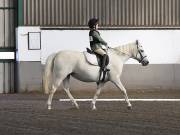 Image 170 in DRESSAGE AT NEWTON HALL EQUITATION. 1 SEPT. 2019