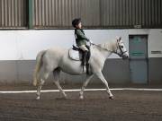 Image 171 in DRESSAGE AT NEWTON HALL EQUITATION. 1 SEPT. 2019