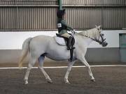 Image 176 in DRESSAGE AT NEWTON HALL EQUITATION. 1 SEPT. 2019