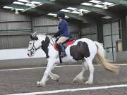 Image 19 in DRESSAGE AT NEWTON HALL EQUITATION. 1 SEPT. 2019