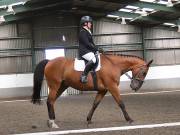 Image 21 in DRESSAGE AT NEWTON HALL EQUITATION. 1 SEPT. 2019