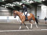 Image 24 in DRESSAGE AT NEWTON HALL EQUITATION. 1 SEPT. 2019