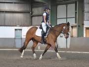 Image 28 in DRESSAGE AT NEWTON HALL EQUITATION. 1 SEPT. 2019