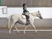 Image 3 in DRESSAGE AT NEWTON HALL EQUITATION. 1 SEPT. 2019