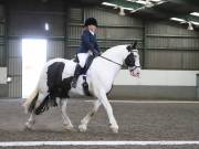 Image 30 in DRESSAGE AT NEWTON HALL EQUITATION. 1 SEPT. 2019