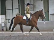 Image 33 in DRESSAGE AT NEWTON HALL EQUITATION. 1 SEPT. 2019