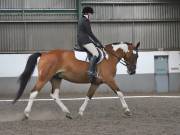 Image 34 in DRESSAGE AT NEWTON HALL EQUITATION. 1 SEPT. 2019