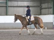 Image 36 in DRESSAGE AT NEWTON HALL EQUITATION. 1 SEPT. 2019