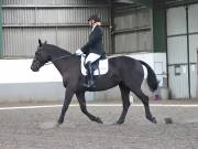 Image 39 in DRESSAGE AT NEWTON HALL EQUITATION. 1 SEPT. 2019