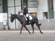 Image 42 in DRESSAGE AT NEWTON HALL EQUITATION. 1 SEPT. 2019