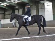 Image 43 in DRESSAGE AT NEWTON HALL EQUITATION. 1 SEPT. 2019