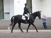 Image 46 in DRESSAGE AT NEWTON HALL EQUITATION. 1 SEPT. 2019