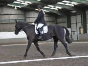 Image 49 in DRESSAGE AT NEWTON HALL EQUITATION. 1 SEPT. 2019