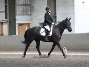 Image 50 in DRESSAGE AT NEWTON HALL EQUITATION. 1 SEPT. 2019