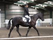 Image 53 in DRESSAGE AT NEWTON HALL EQUITATION. 1 SEPT. 2019