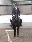 Image 54 in DRESSAGE AT NEWTON HALL EQUITATION. 1 SEPT. 2019