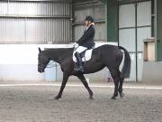 Image 56 in DRESSAGE AT NEWTON HALL EQUITATION. 1 SEPT. 2019