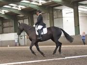 Image 58 in DRESSAGE AT NEWTON HALL EQUITATION. 1 SEPT. 2019