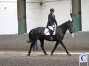 Image 59 in DRESSAGE AT NEWTON HALL EQUITATION. 1 SEPT. 2019