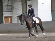 Image 63 in DRESSAGE AT NEWTON HALL EQUITATION. 1 SEPT. 2019