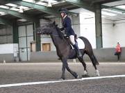 Image 65 in DRESSAGE AT NEWTON HALL EQUITATION. 1 SEPT. 2019