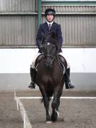 Image 66 in DRESSAGE AT NEWTON HALL EQUITATION. 1 SEPT. 2019