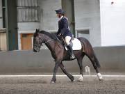 Image 67 in DRESSAGE AT NEWTON HALL EQUITATION. 1 SEPT. 2019