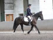 Image 70 in DRESSAGE AT NEWTON HALL EQUITATION. 1 SEPT. 2019