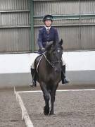 Image 77 in DRESSAGE AT NEWTON HALL EQUITATION. 1 SEPT. 2019