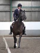 Image 78 in DRESSAGE AT NEWTON HALL EQUITATION. 1 SEPT. 2019