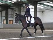 Image 79 in DRESSAGE AT NEWTON HALL EQUITATION. 1 SEPT. 2019